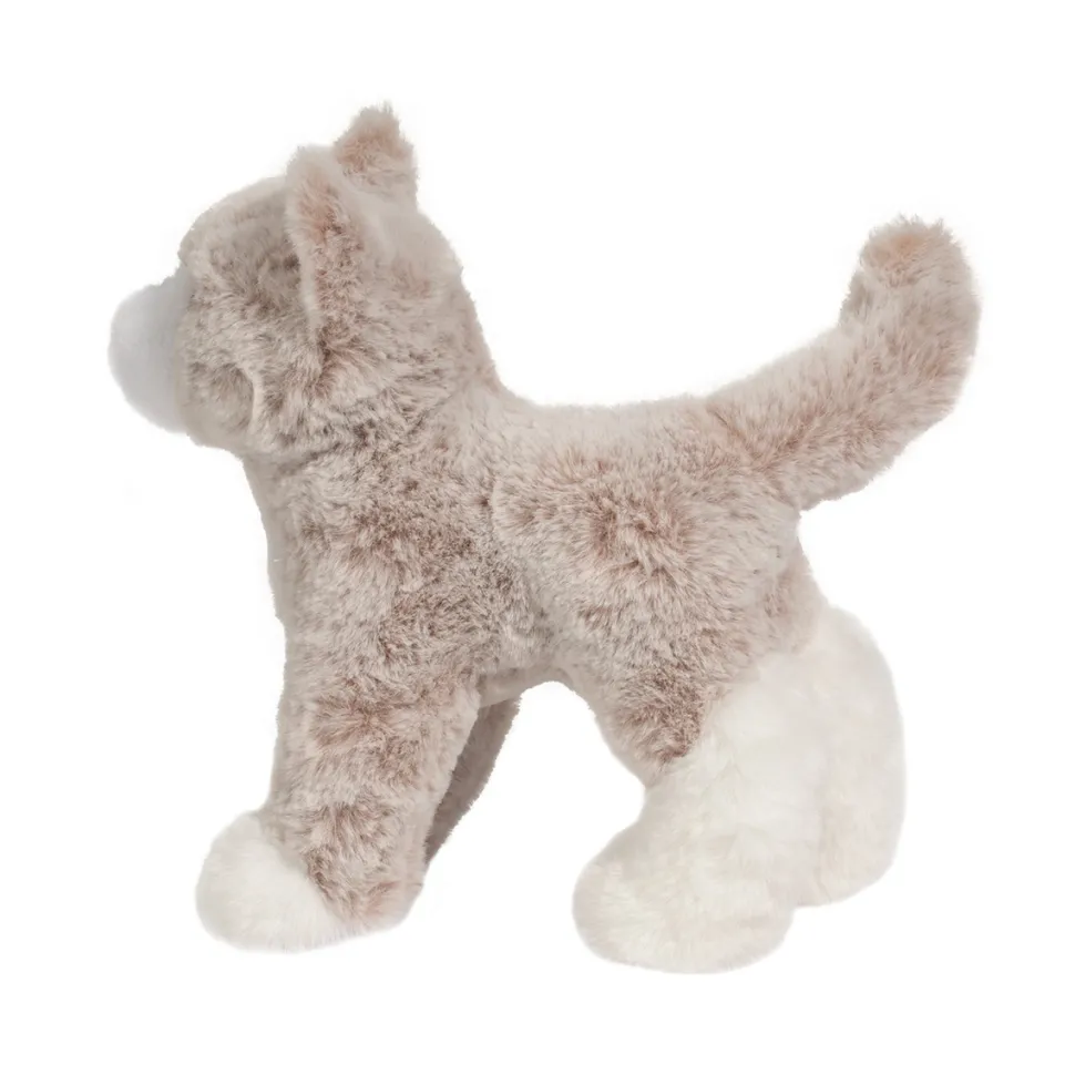 Abby Tan Cat