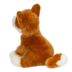 Aki Shiba Inu