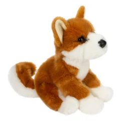 Aki Shiba Inu