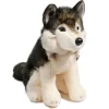 Atka Wolf