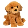 August Golden Retriever