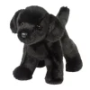 Bear Black Lab