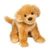 Bella Golden Retriever