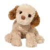 Biscuit Cavapoo