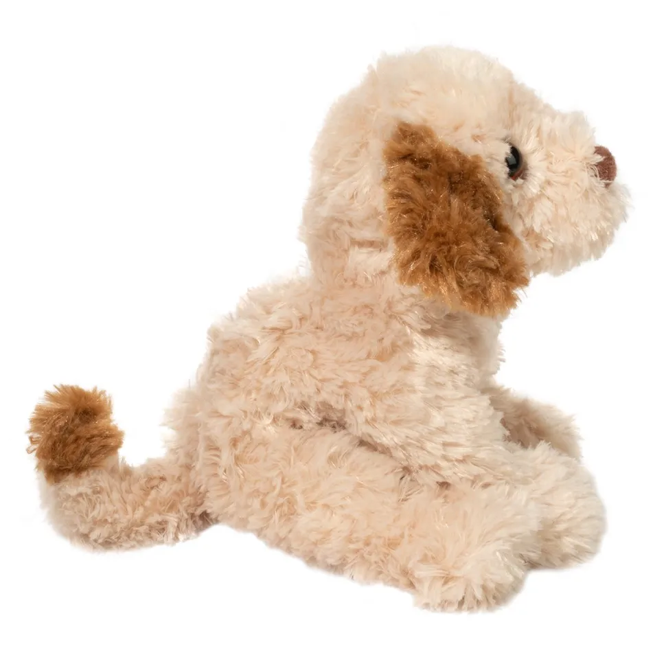 Biscuit Cavapoo