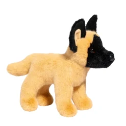 Brent Belgian Malinois