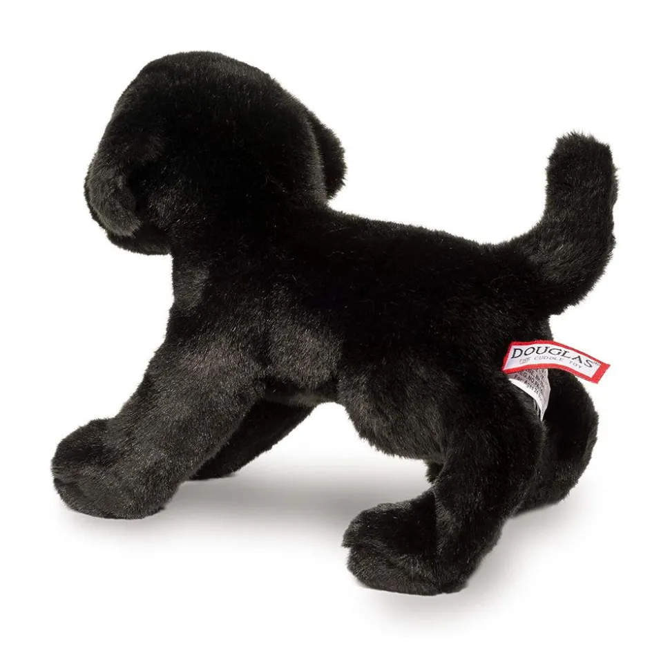 Brewster Black Lab