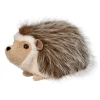 Bristle Hedgehog