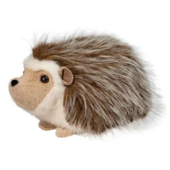 Bristle Hedgehog