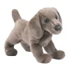 Cassie Weimaraner