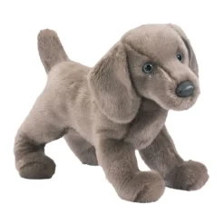 Cassie Weimaraner