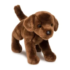C.C. Bean Chocolate Lab