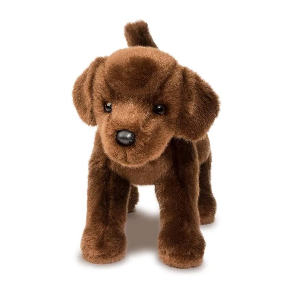 C.C. Bean Chocolate Lab