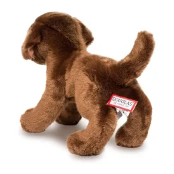 C.C. Bean Chocolate Lab