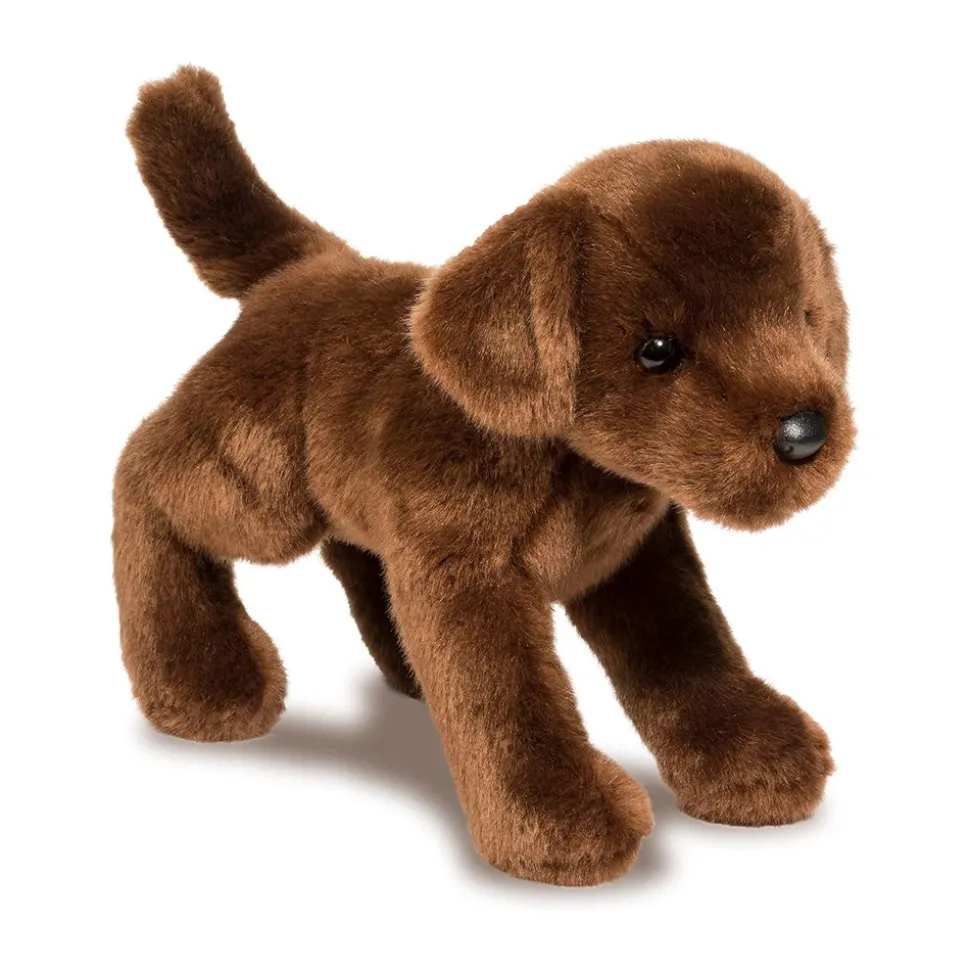 C.C. Bean Chocolate Lab