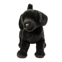 Chester Black Lab