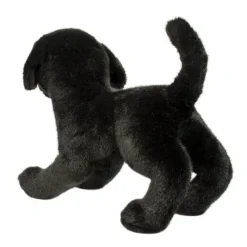 Chester Black Lab