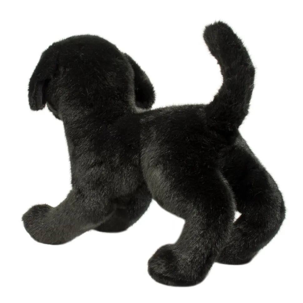 Chester Black Lab
