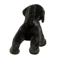 Chester Black Lab