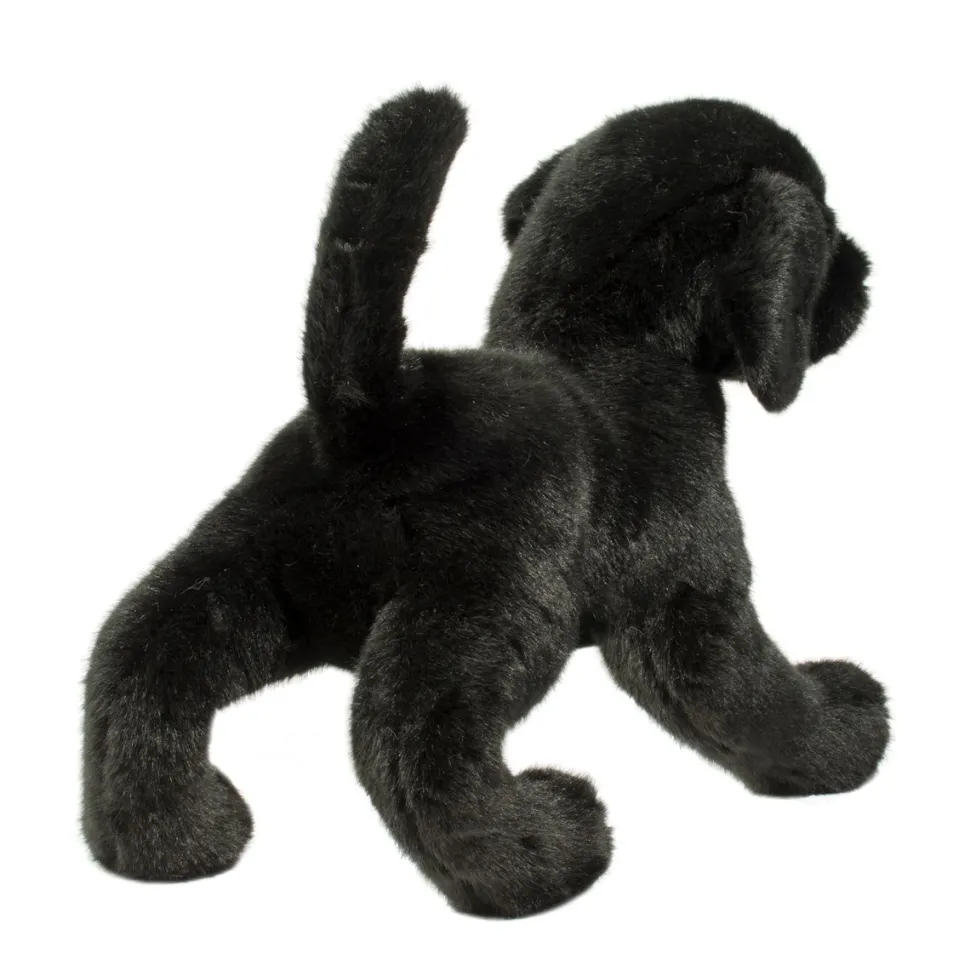 Chester Black Lab