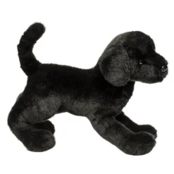 Chester Black Lab