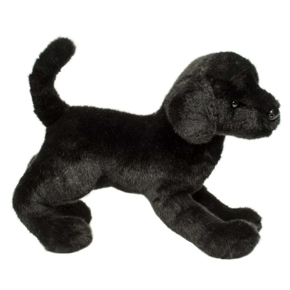 Chester Black Lab