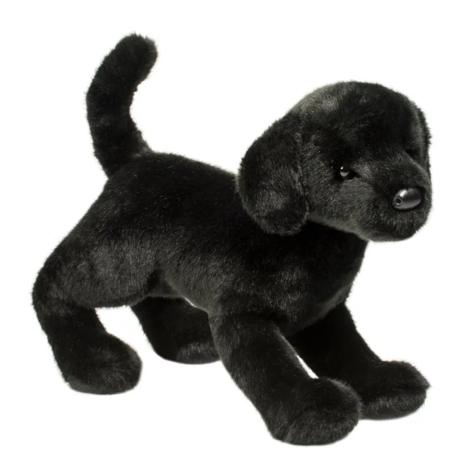 Chester Black Lab