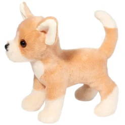 Chichi Chihuahua