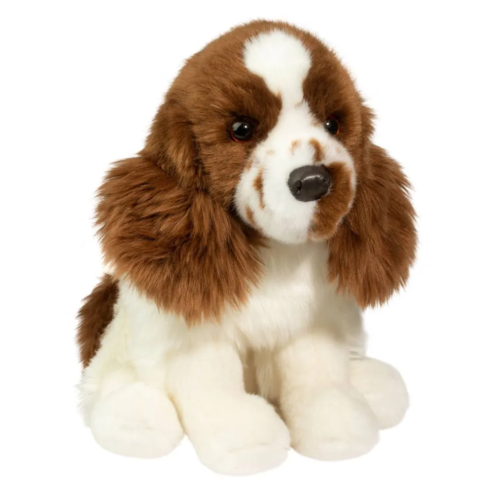 Chip Springer Spaniel