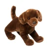 Cocoa Chocolate Lab