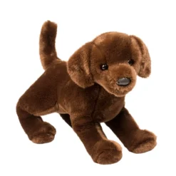 Cocoa Chocolate Lab