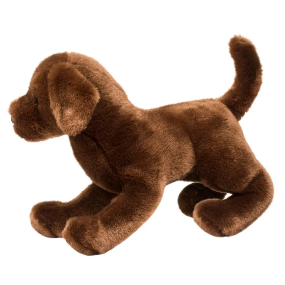 Cocoa Chocolate Lab