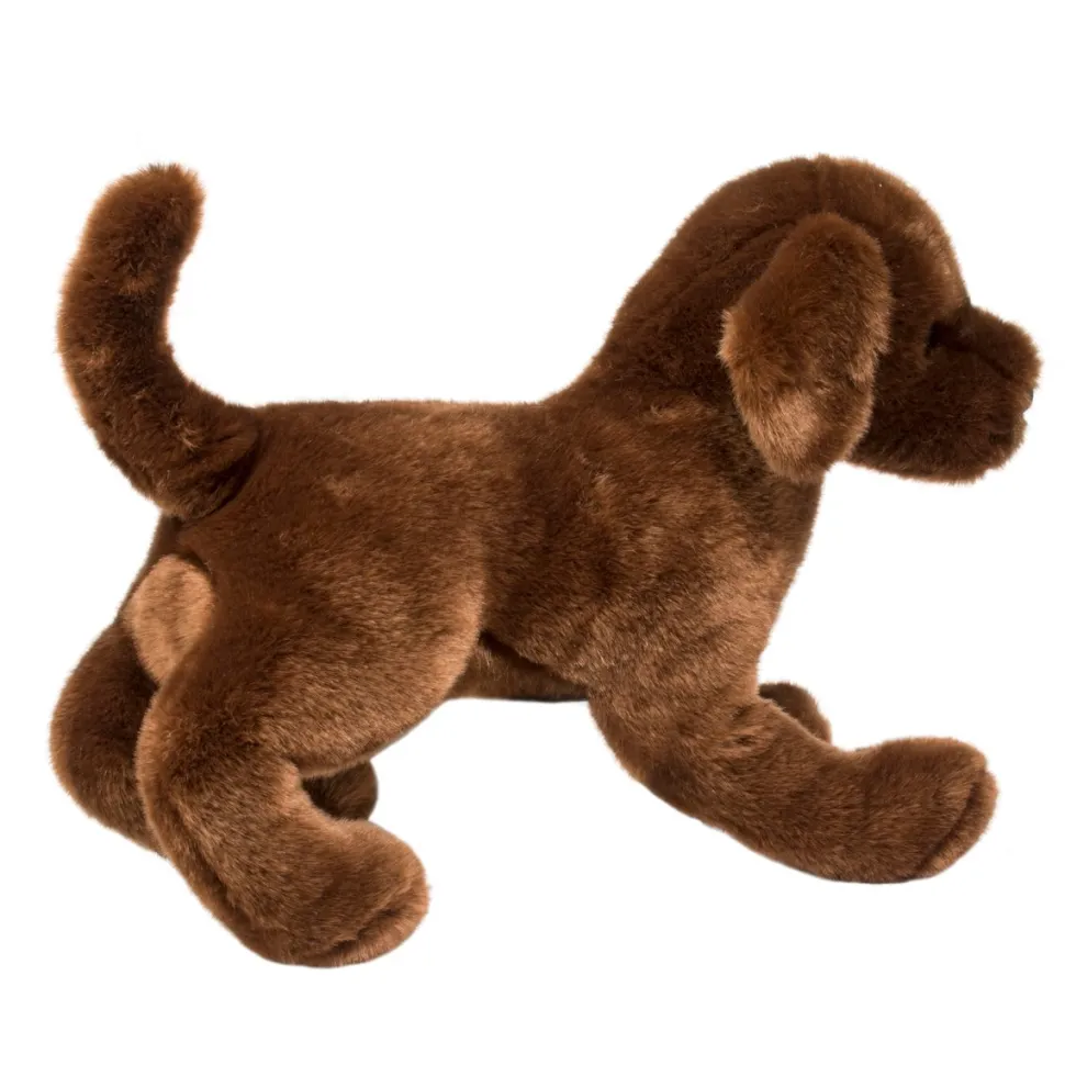 Cocoa Chocolate Lab