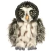 Darius Great Gray Owl