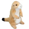 Digger Prairie Dog