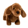 Dilly Dachshund