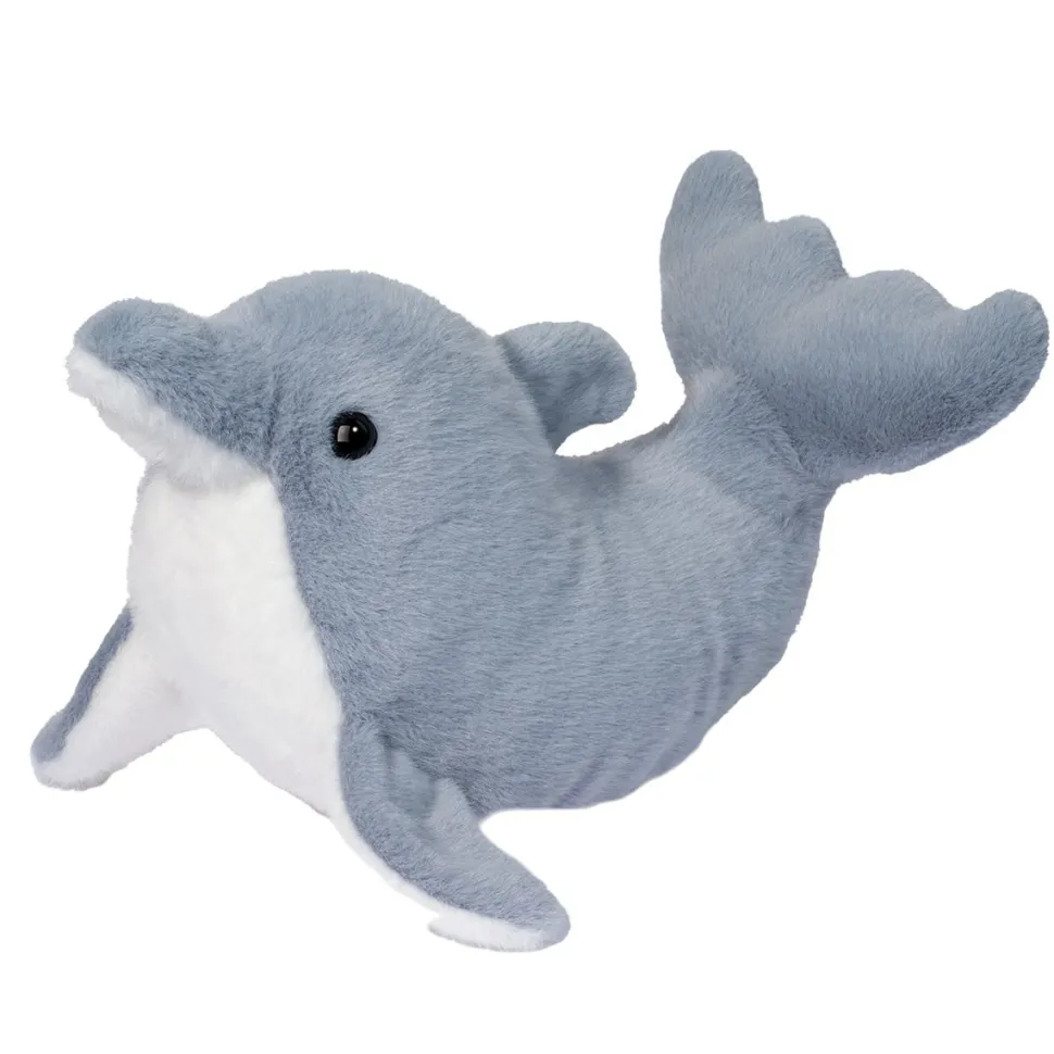 Dinghy Dolphin