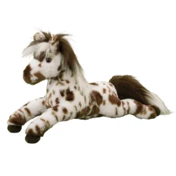 Duke Appaloosa Horse