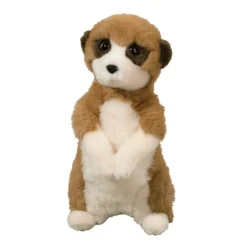Enzo Meerkat