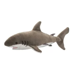 Fin Great White Shark