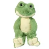 Floyd Frog