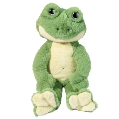 Floyd Frog