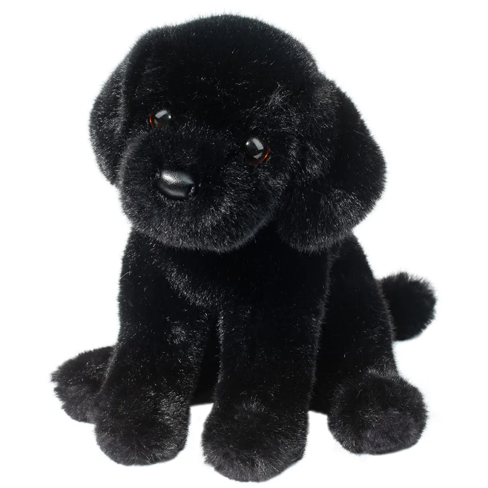 Ford Black Lab