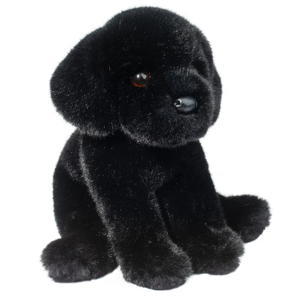 Ford Black Lab
