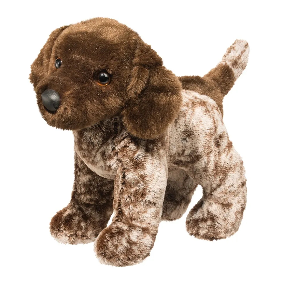 Ivan German Pointer