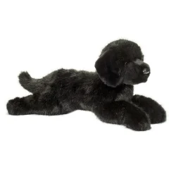Jake DLux Black Lab