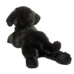 Jake DLux Black Lab