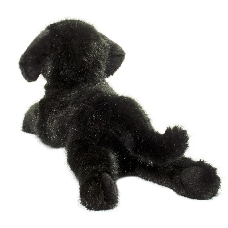 Jake DLux Black Lab