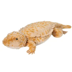 Jumbo Boogie Bearded Dragon