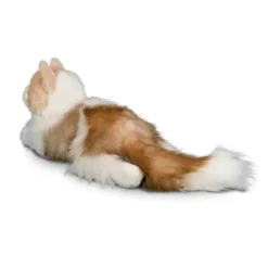 Kiki Ragdoll Cat